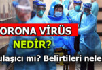 Corona Virüsü Aslında Ne?