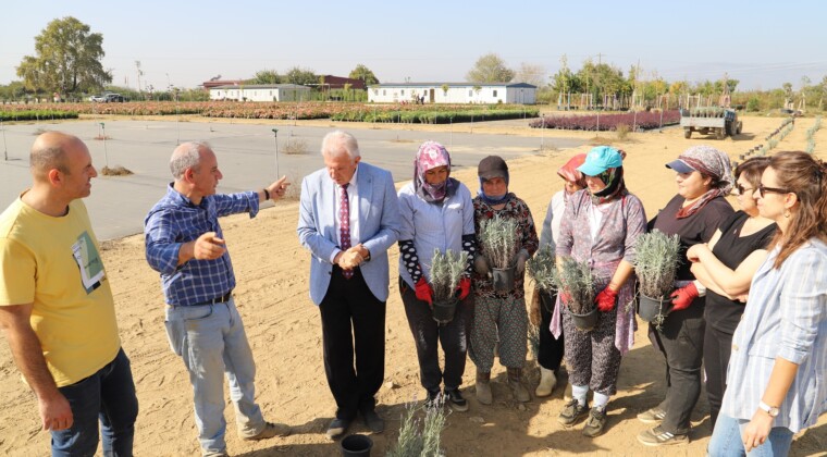Ödemiş Belediyesi’nden “Tıbbi-Aromatik Bitki Bahçesi” Hamlesi