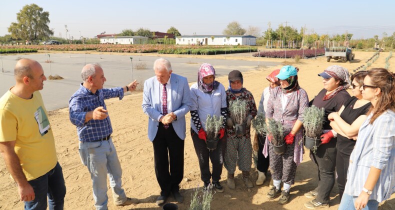 Ödemiş Belediyesi’nden “Tıbbi-Aromatik Bitki Bahçesi” Hamlesi